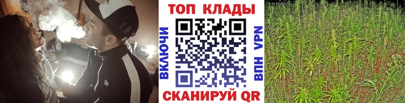 Купить закладку Пыть-Ях Гашиш  МАРИХУАНА  Alpha PVP  Меф  Кокаин 