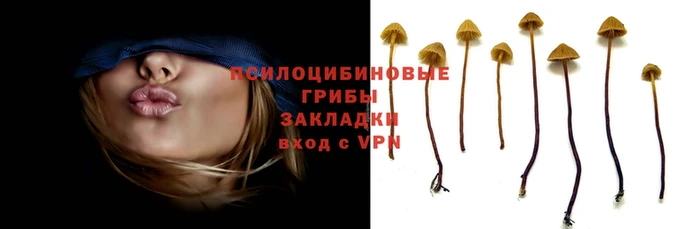 кокаин Аркадак