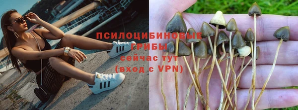 mdpv Арсеньев